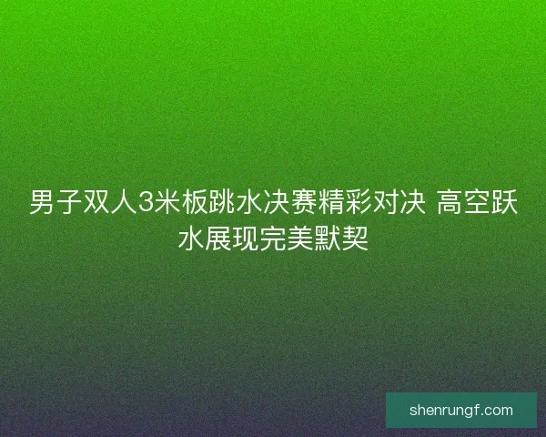 男子双人3米板跳水决赛精彩对决 高空跃水展现完美默契