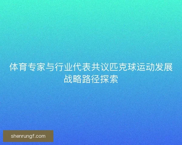 体育专家与行业代表共议匹克球运动发展战略路径探索 体育专家与行业代表共议匹克球运动发展战略路径探索